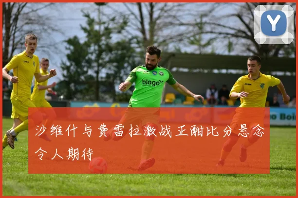 沙维什与费雷拉激战正酣比分悬念令人期待