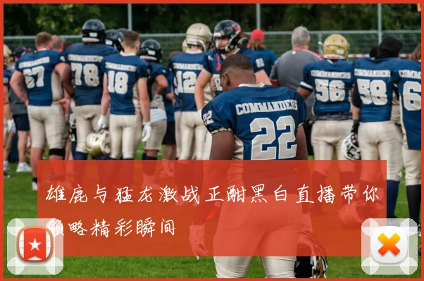 雄鹿与猛龙激战正酣黑白直播带你领略精彩瞬间