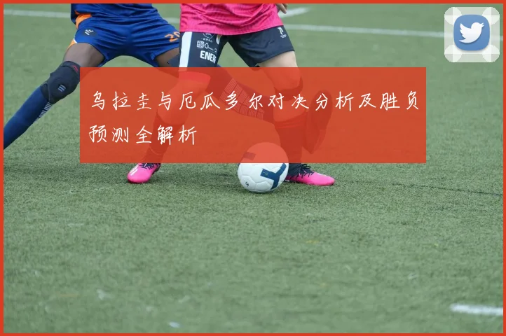 乌拉圭与厄瓜多尔对决分析及胜负预测全解析