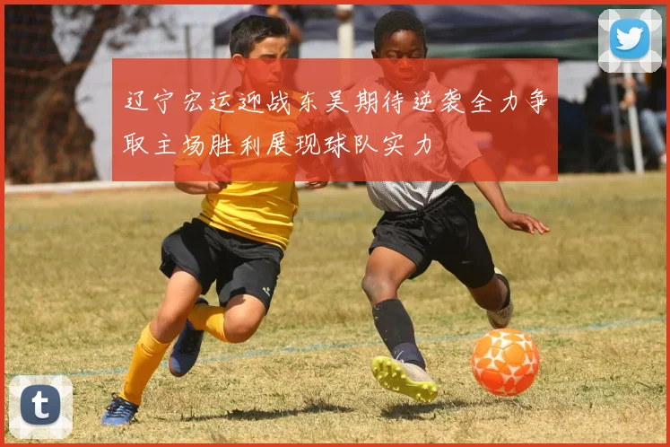 辽宁宏运迎战东吴期待逆袭全力争取主场胜利展现球队实力