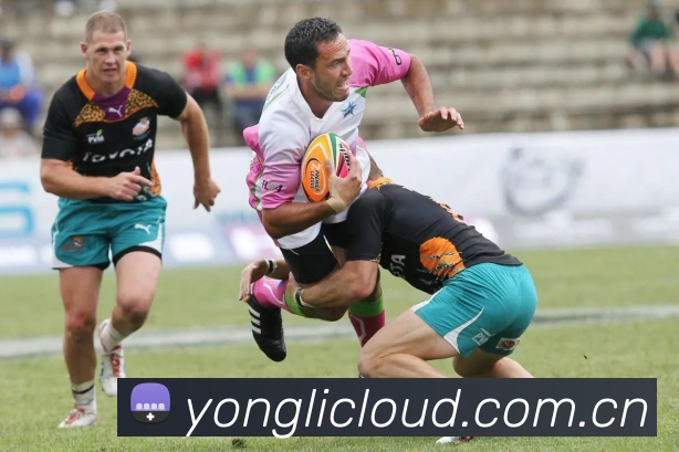 永利娱乐平台生态图