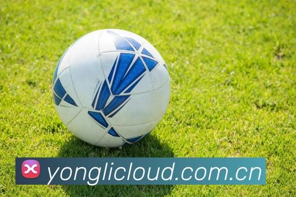 永利娱乐全站App